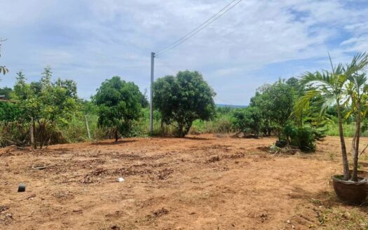 House for sale with land