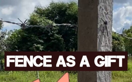 Land for Sale in Huay Yai 428 sq m