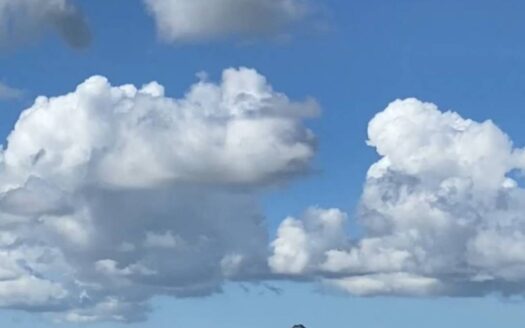 Land for Sale in Huay Yai 428 sq m